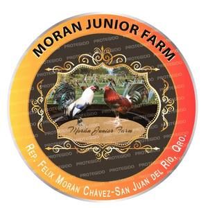 Meet your Posher, Gerardo